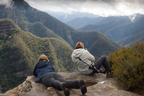 Inside The Greater Blue Mountains World Heritage - A Private Wildlife Safari Overnight - Accommodation Australia 0