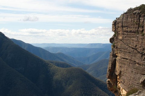 Inside The Greater Blue Mountains World Heritage - A Private Wildlife Safari Overnight - Accommodation Australia 4