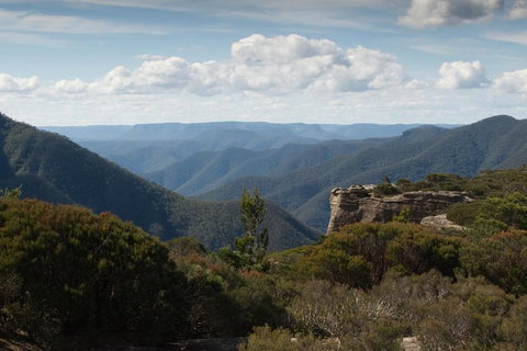 Inside The Greater Blue Mountains World Heritage - A Private Wildlife Safari Overnight - Accommodation Australia 5
