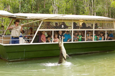 Hartley's Crocodile Adventure Half-Day Tour - Local Tourism 0