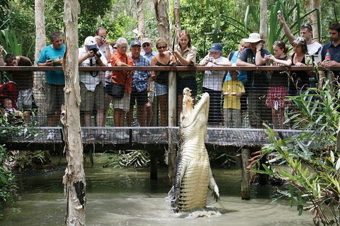 Hartley's Crocodile Adventure Half-Day Tour - Local Tourism 1