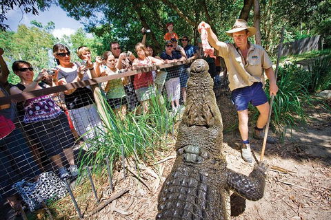 Hartley's Crocodile Adventure Half-Day Tour - Local Tourism 4