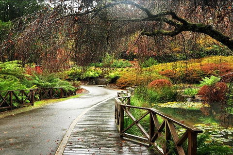 Discover Tour: Dandenong Ranges & William Ricketts Sanctuary - Accommodation Australia 3