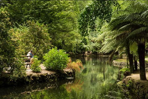 Discover Tour: Dandenong Ranges & William Ricketts Sanctuary - Accommodation Australia 4