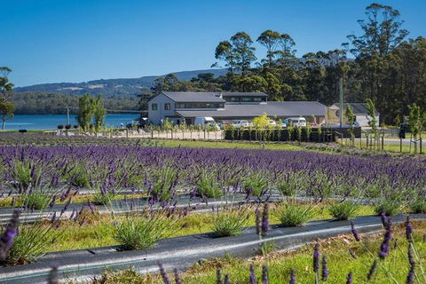 Private Hobart Discover South East Food And Scenic Tour - Accommodation Australia 0