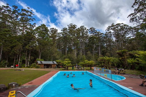 Tahune Airwalk Active Day Trip From Hobart Including Hastings Caves - Local Tourism 0