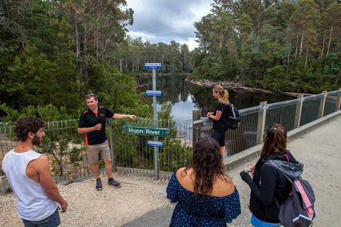 Tahune Airwalk Active Day Trip From Hobart Including Hastings Caves - Local Tourism 1