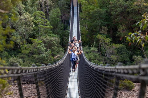 Tahune Airwalk Active Day Trip From Hobart Including Hastings Caves - Local Tourism 3