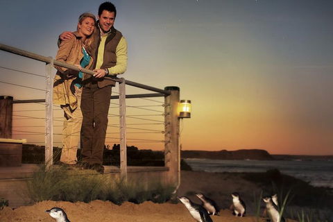 The Ultimate Melbourne Attractions Pass - Local Tourism 3