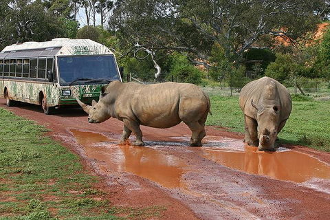 The Ultimate Melbourne Attractions Pass - Local Tourism 4