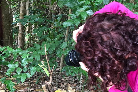 Let's Go Buggin & Let's Go Shroomin - Photography & Nature Walking Tours - Accommodation Australia 1