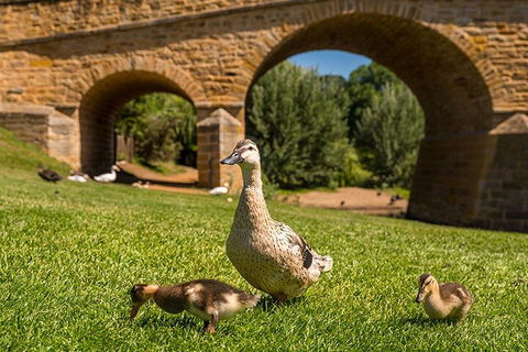 Richmond Historic Afternoon Tour From Hobart - Accommodation Australia 1