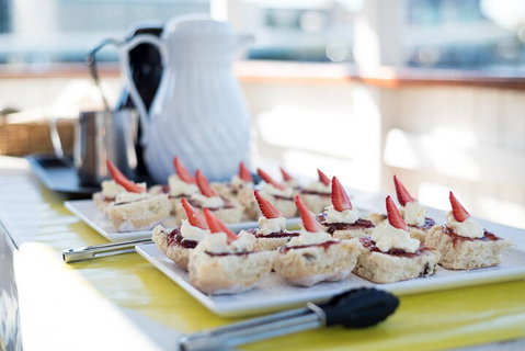 90min Brisbane River Cruise/Tour - Local Tourism 0