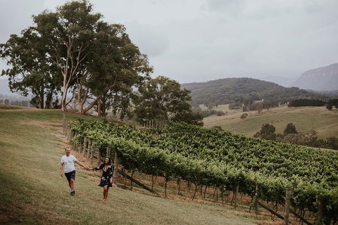 Luxury Blue Mountains Tour With Aussie BBQ Lunch And Wine Tasting - Accommodation Australia 3