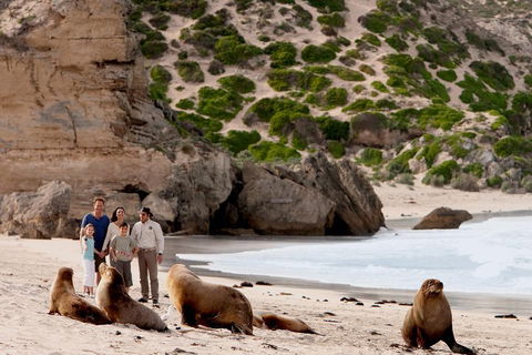 Kangaroo Island Scenic Trail Tour - Accommodation Australia 5