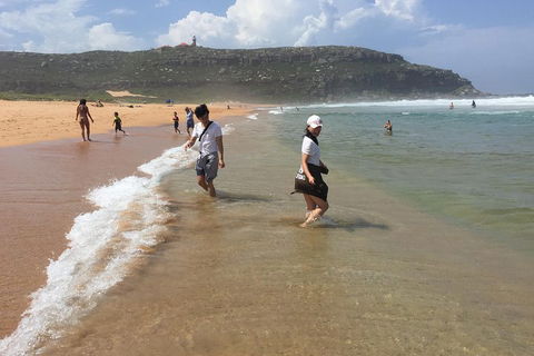 Small-Group Sydney's Northern Beaches And Ku-ring-gai National Park Bus Tour - Accommodation Australia 5