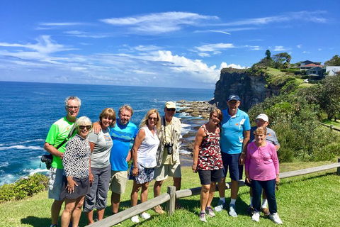 Shore Excursion: Sydney's Northern Beaches & Ku-ring-gai National Park Bus Tour - Accommodation Australia 0