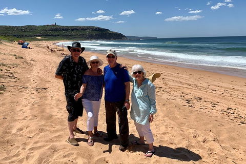 Shore Excursion: Sydney's Northern Beaches & Ku-ring-gai National Park Bus Tour - Accommodation Australia 3
