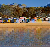 Mornington Peninsula Small Group day tour - Local Tourism