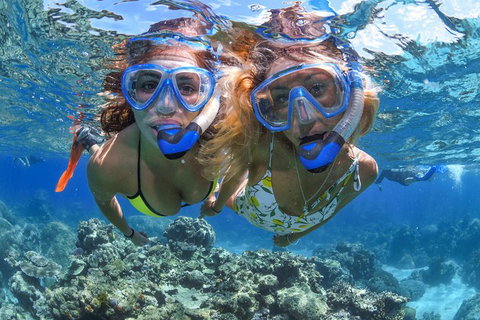 Great Barrier Reef Snorkeling And Diving Cruise From Cairns - Accommodation Australia 3