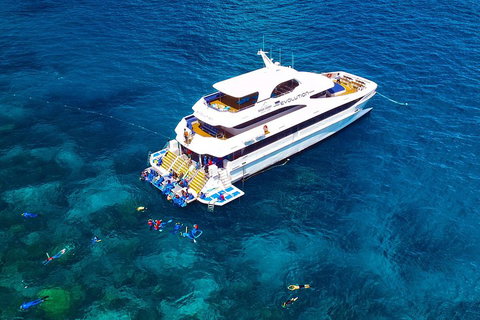 Great Barrier Reef Snorkeling And Diving Cruise From Cairns - Accommodation Australia 5