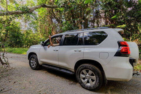 Full Day Cooktown Private Tour - Local Tourism 3