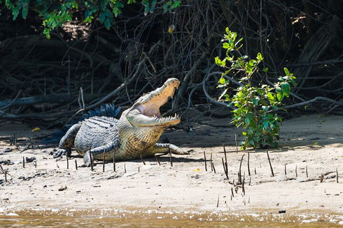 Full Day Cooktown Private Tour - Local Tourism 4