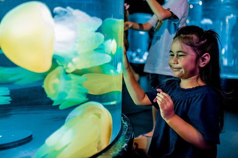 SEA LIFE Sydney Aquarium Entrance Ticket - Accommodation Australia 5