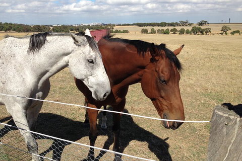 Legends & Champions Tour - Bed n Breakfasts 1