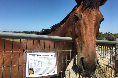 Legends & Champions Tour - Bed n Breakfasts 4