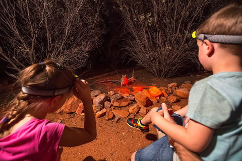 Alice Springs Desert Park Nocturnal Tour - Accommodation Australia 4