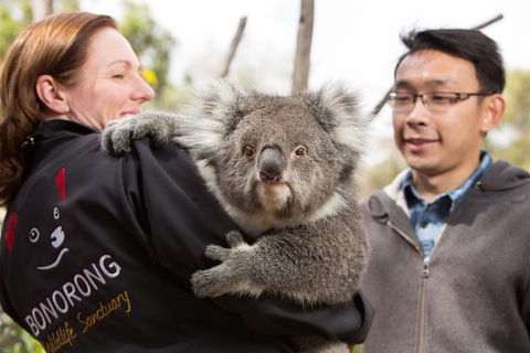 Bonorong Wildlife Park And Richmond Afternoon Tour From Hobart - Accommodation Australia 0