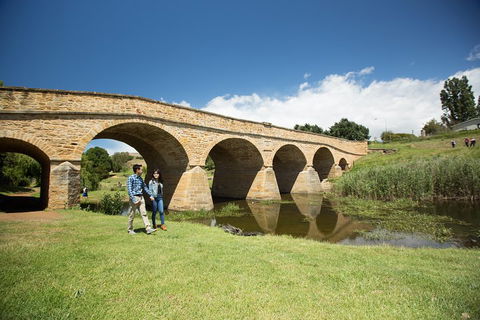 Bonorong Wildlife Park And Richmond Afternoon Tour From Hobart - Accommodation Australia 2