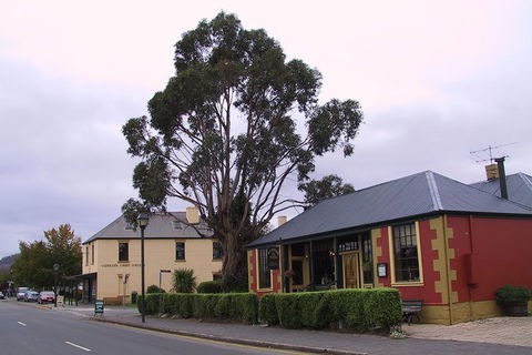 Bonorong Wildlife Park And Richmond Afternoon Tour From Hobart - Accommodation Australia 3