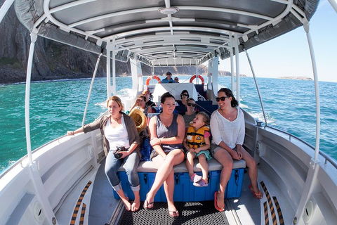 Seal Island Boat Tour From Victor Harbor - Accommodation Australia 1