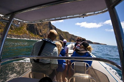 Seal Island Boat Tour From Victor Harbor - Accommodation Australia 2
