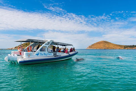 Southern Ocean Adventure From Victor Harbor - Local Tourism 1