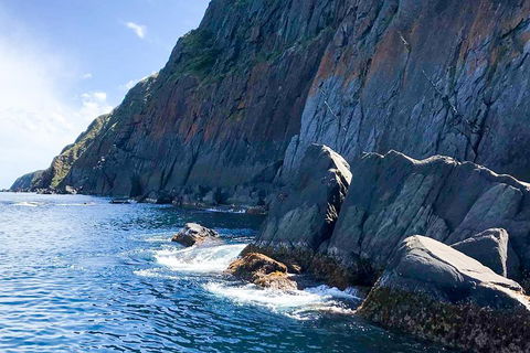 Southern Ocean Adventure From Victor Harbor - Local Tourism 3