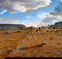 Mount Conner 4WD Small Group Tour from Ayers Rock including Dinner - Local Tourism