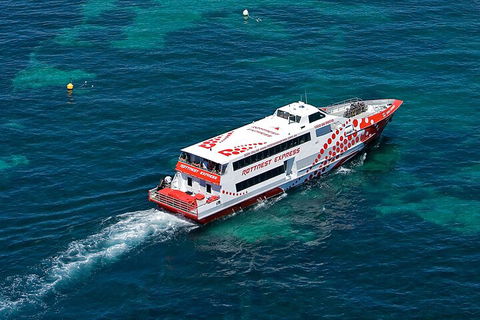 Discover Rottnest With Ferry & Bus Tour From Perth Or Fremantle - Accommodation Australia 3