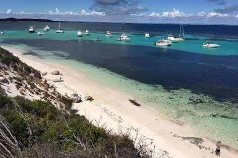 Experience Rottnest With Ferry & Bike Hire From Perth Or Fremantle - Local Tourism 0