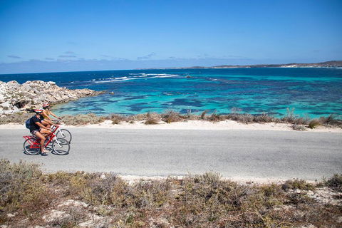 Experience Rottnest With Ferry & Bike Hire From Perth Or Fremantle - Local Tourism 2