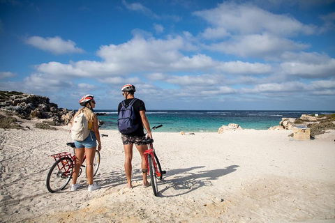 Experience Rottnest With Ferry & Bike Hire From Perth Or Fremantle - Local Tourism 5