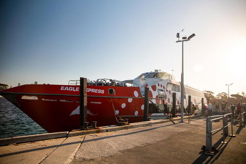 Rottnest Island Round-Trip Ferry From Perth Or Fremantle - Accommodation Australia 2