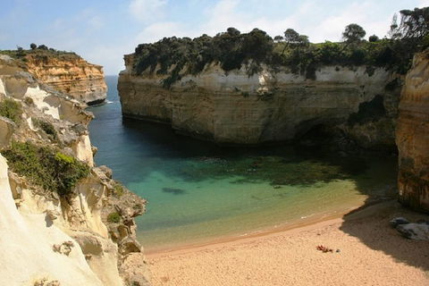 Melbourne Super Saver: Great Ocean Road + Mornington Peninsula + Attraction Pass - Local Tourism 3