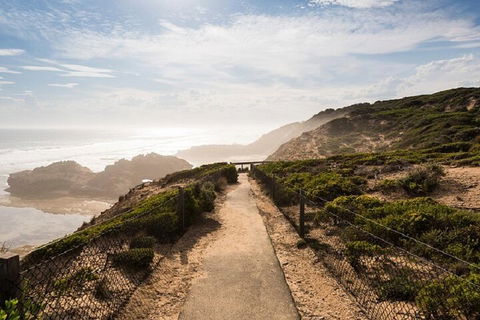 Melbourne Super Saver: Great Ocean Road + Mornington Peninsula + Attraction Pass - Local Tourism 4