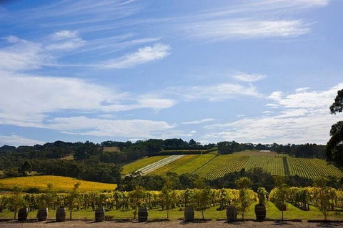 Melbourne Super Saver: Great Ocean Road + Mornington Peninsula + Attraction Pass - Local Tourism 5