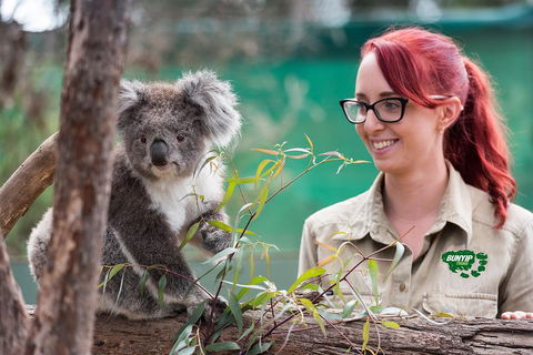 Small-Group Phillip Island Penguin Parade Day Tour From Melbourne - Accommodation Australia 0