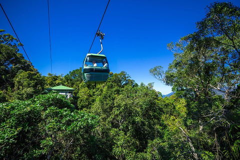 Classic Kuranda By Skyrail And Scenic Railway Including Rainforestation, Koala And Wildlife Park And Pamagirri Aboriginal Experi - Local Tourism 0