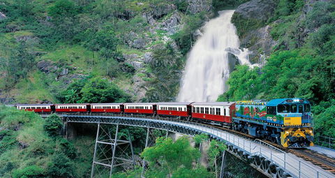 Classic Kuranda By Skyrail And Scenic Railway Including Rainforestation, Koala And Wildlife Park And Pamagirri Aboriginal Experi - Local Tourism 1